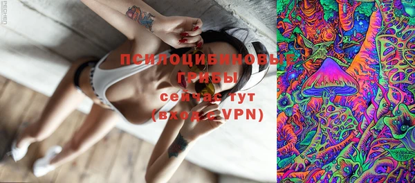 СК Кукмор