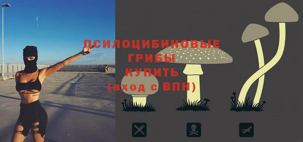 СК Кукмор